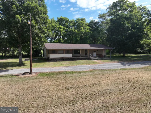 a view of a trees from a yard
