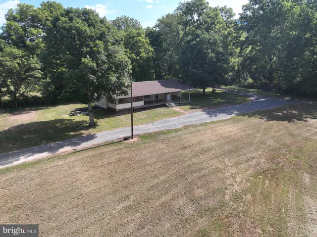 a view of a yard with plants