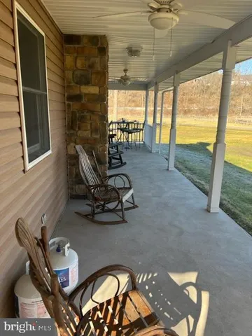 a view of a yard with plants