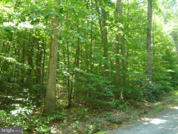 Wooded View / Acreage