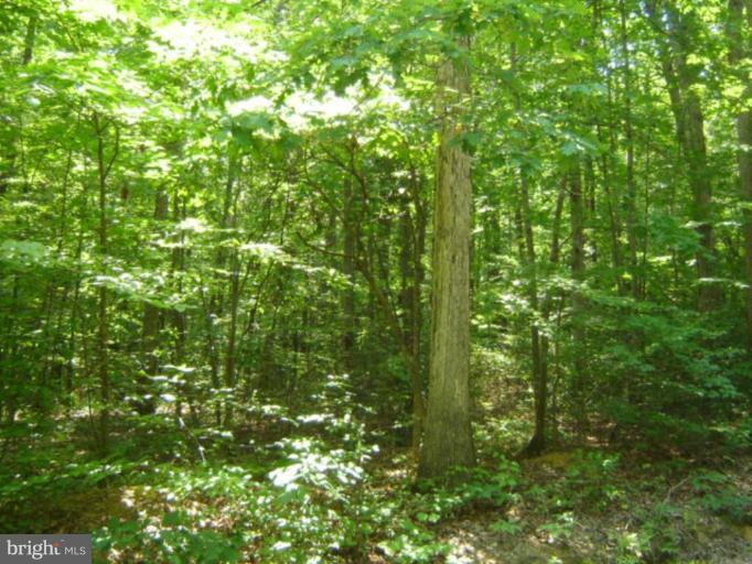 Wooded View / Acreage 2