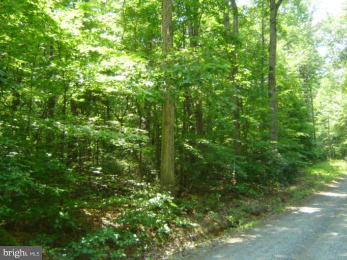 Wooded View / Acreage 3