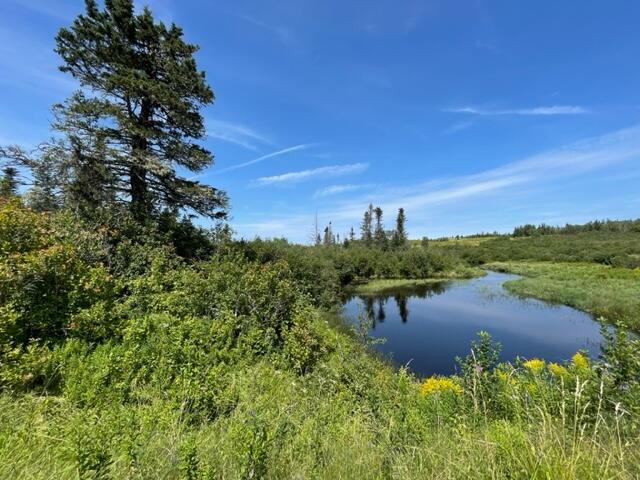 Lot 9 Wilcox Road Lubec, ME 04652 - Photo 8 of 29 IMG_5545