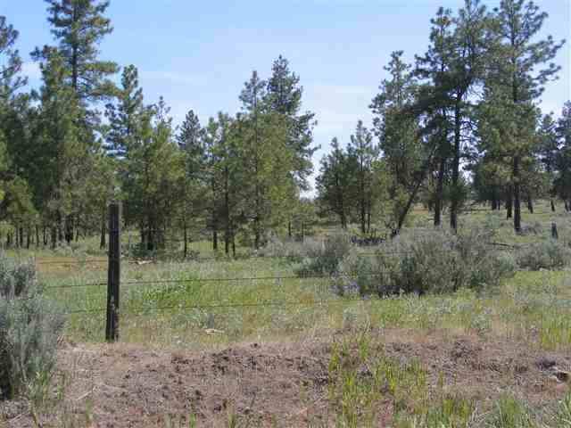 0 South Harrison Road Cheney, WA 99004 - Photo 1 of 4