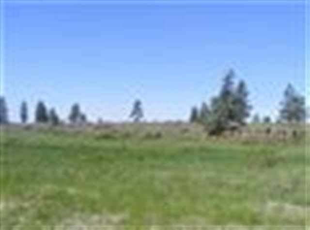 0 South Harrison Road Cheney, WA 99004 - Photo 2 of 4