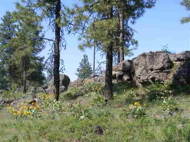 0 South Harrison Road Cheney, WA 99004 - Photo 3 of 4
