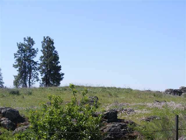 0 South Harrison Road Cheney, WA 99004 - Photo 4 of 4