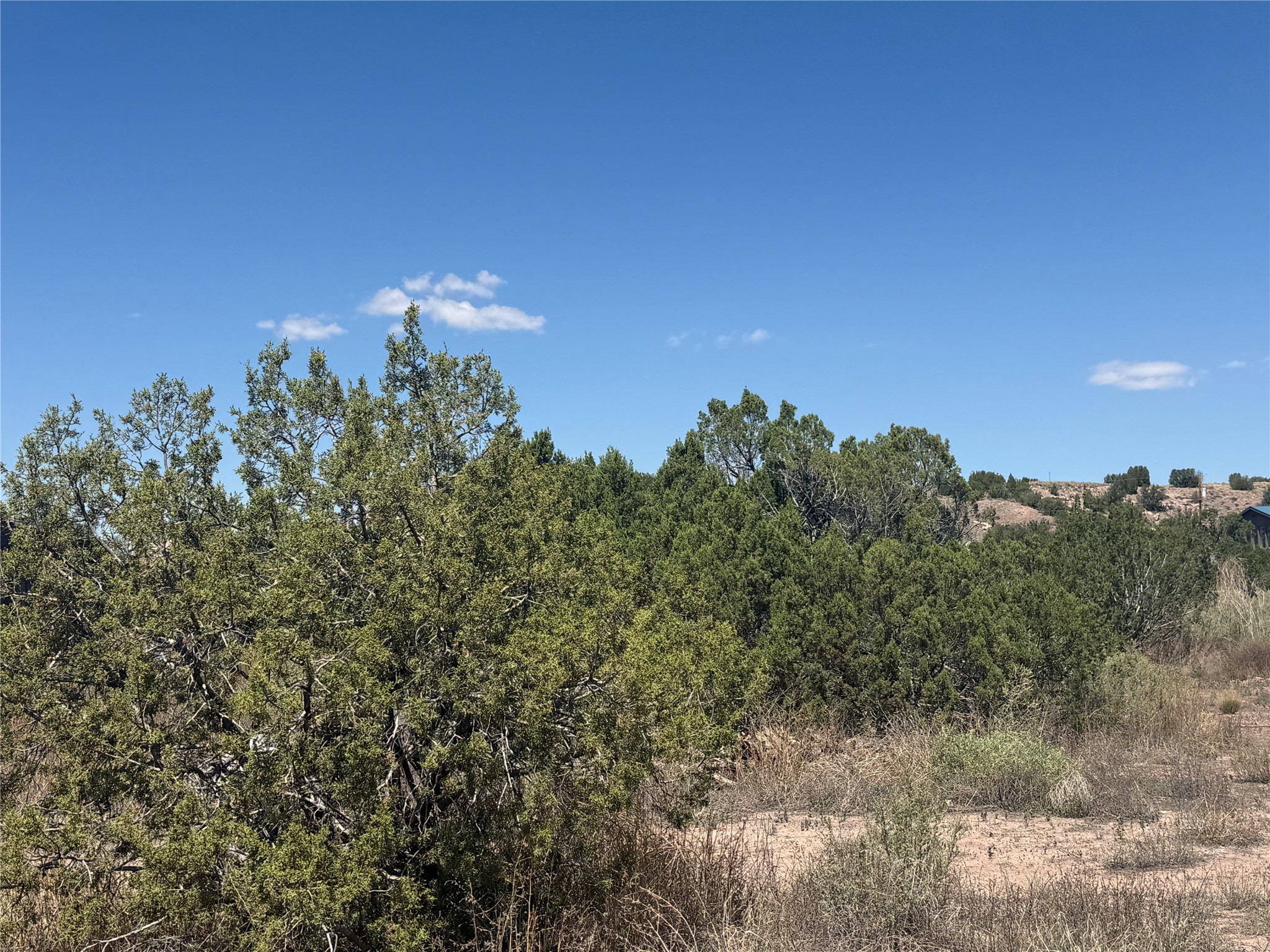 13 Rockridge Road Cerrillos, NM 87010 - Photo 1 of 3 Gallery Image 1