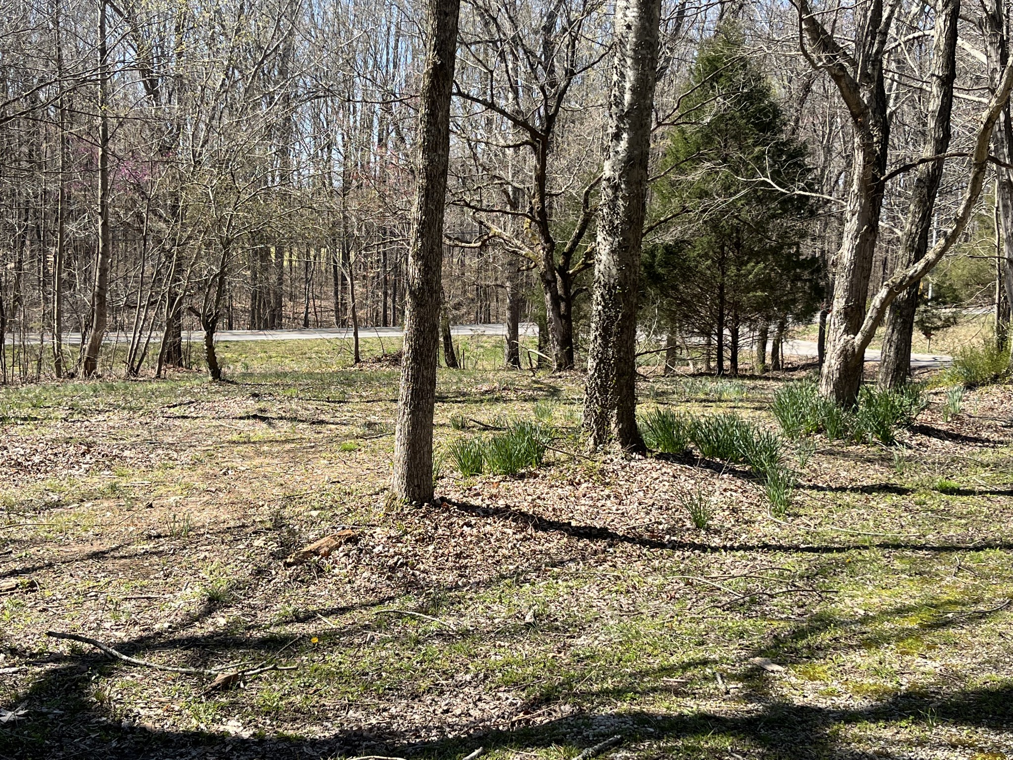 109 Stroud Road Cedar Hill, TN 37032 - Photo 5 of 5 Gallery Image 5