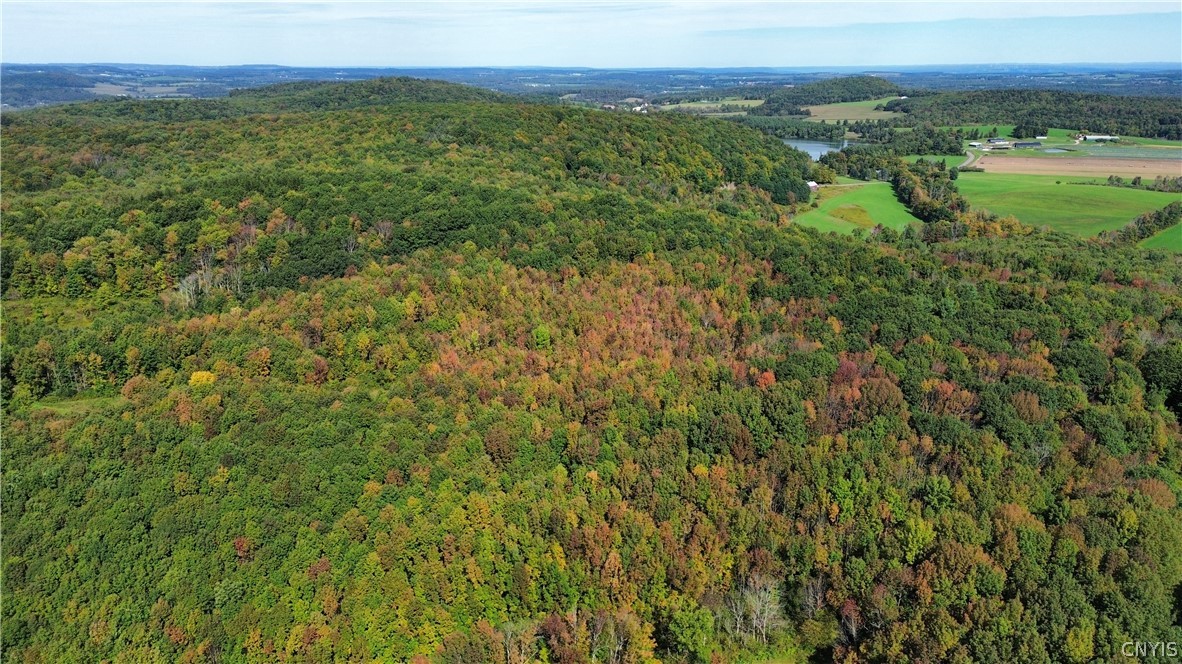 Lot 21 Buddle Road Richfield Springs, NY 13439 - Photo 19 of 21 Gallery Image 19