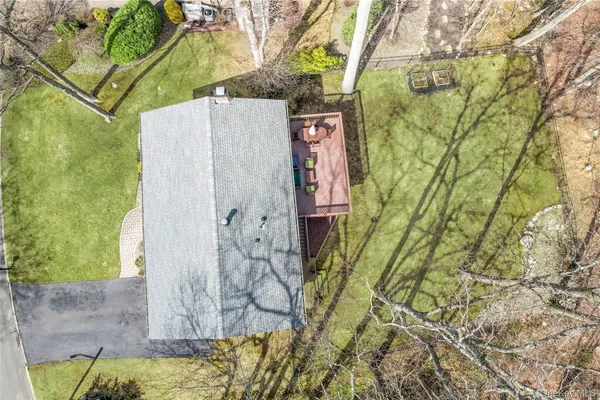 a view of staircase with lots of frames on wall and a potted plant