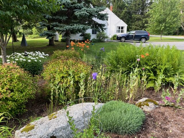 684 The Shore Road Castine, ME 04421 - Photo 31 of 36