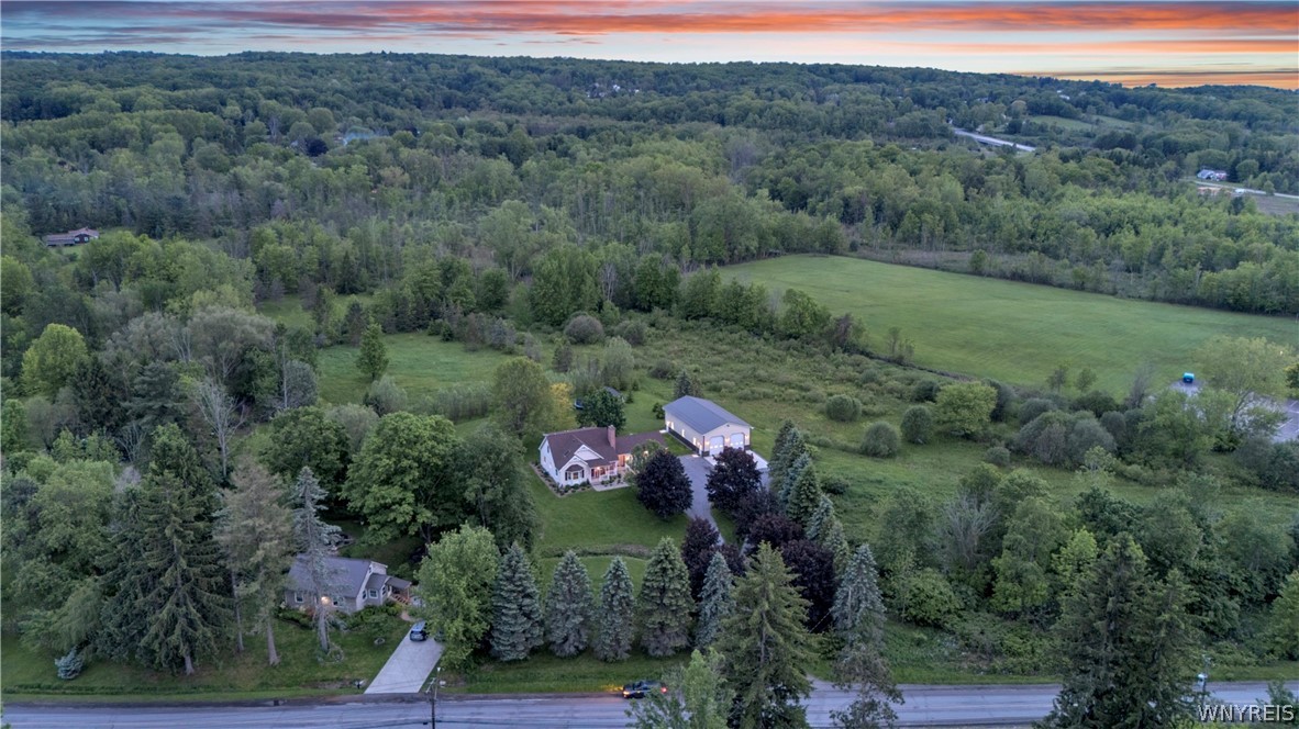 7542 Back Creek Road Boston, NY 14075 - Photo 49 of 50
