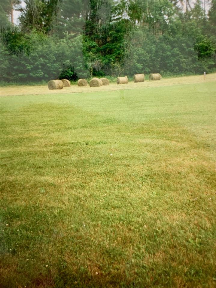 99 Raymond Road Sharon, VT 05065 - Photo 5 of 25