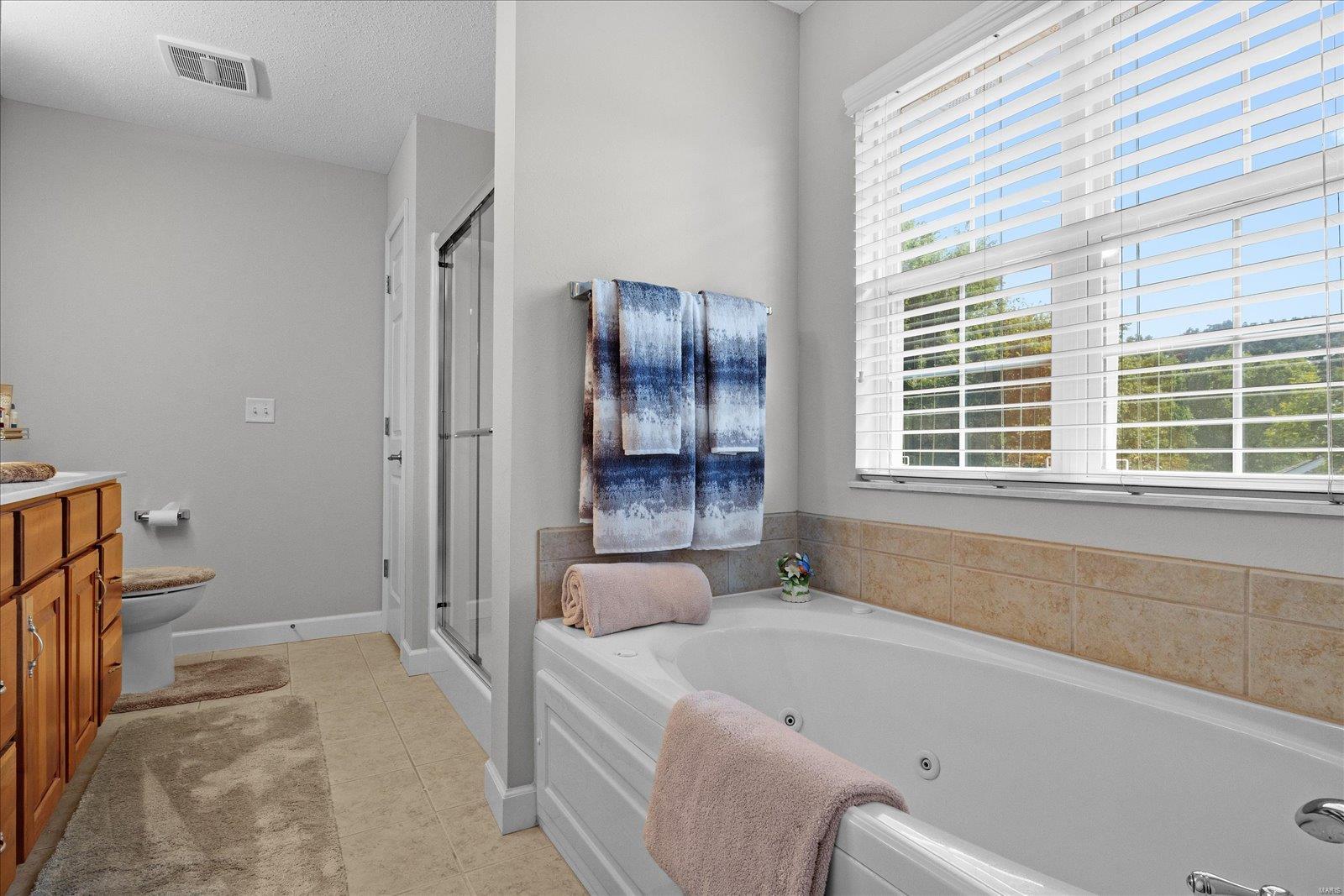 1139 Red Hawk Ridge Lane O'Fallon, IL 62269 - Photo 25 of 39 Gallery Image 25