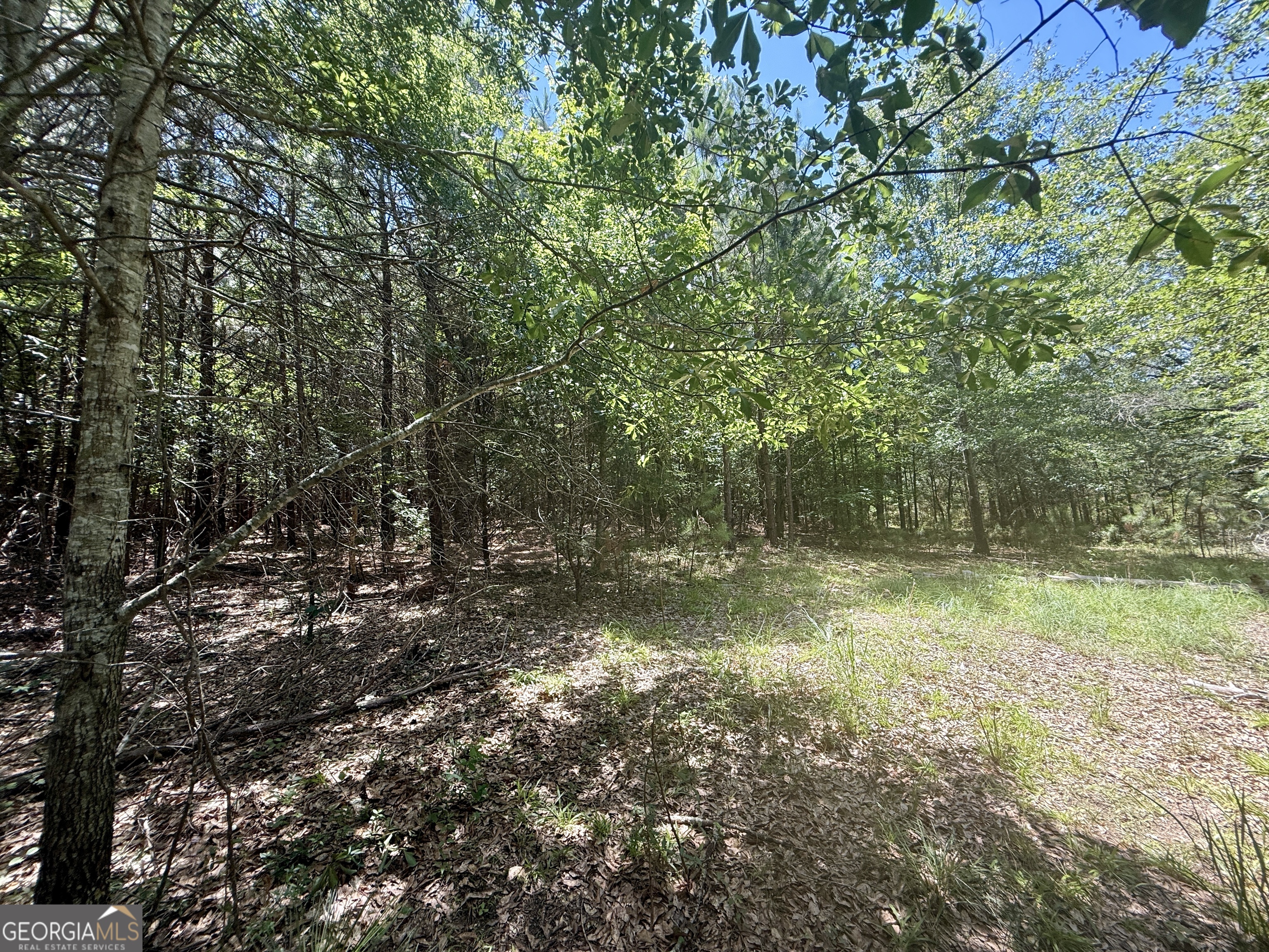 14.21-acres Northwest Irwin Bridge Road Northwest Conyers, GA 30012 - Photo 5 of 12