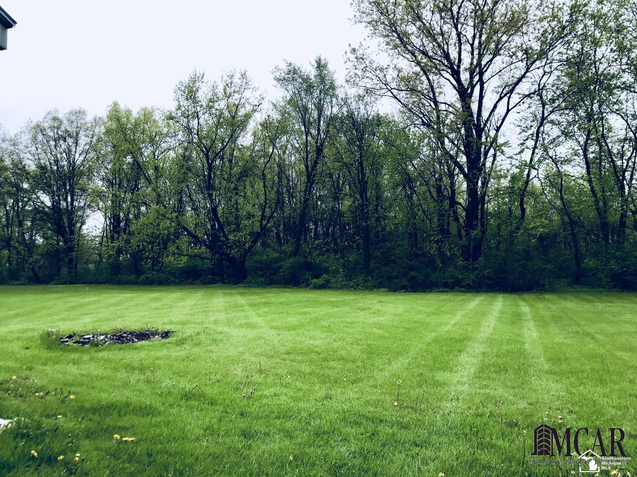 666 Pickard Road Temperance, MI 48182 - Photo 2 of 25