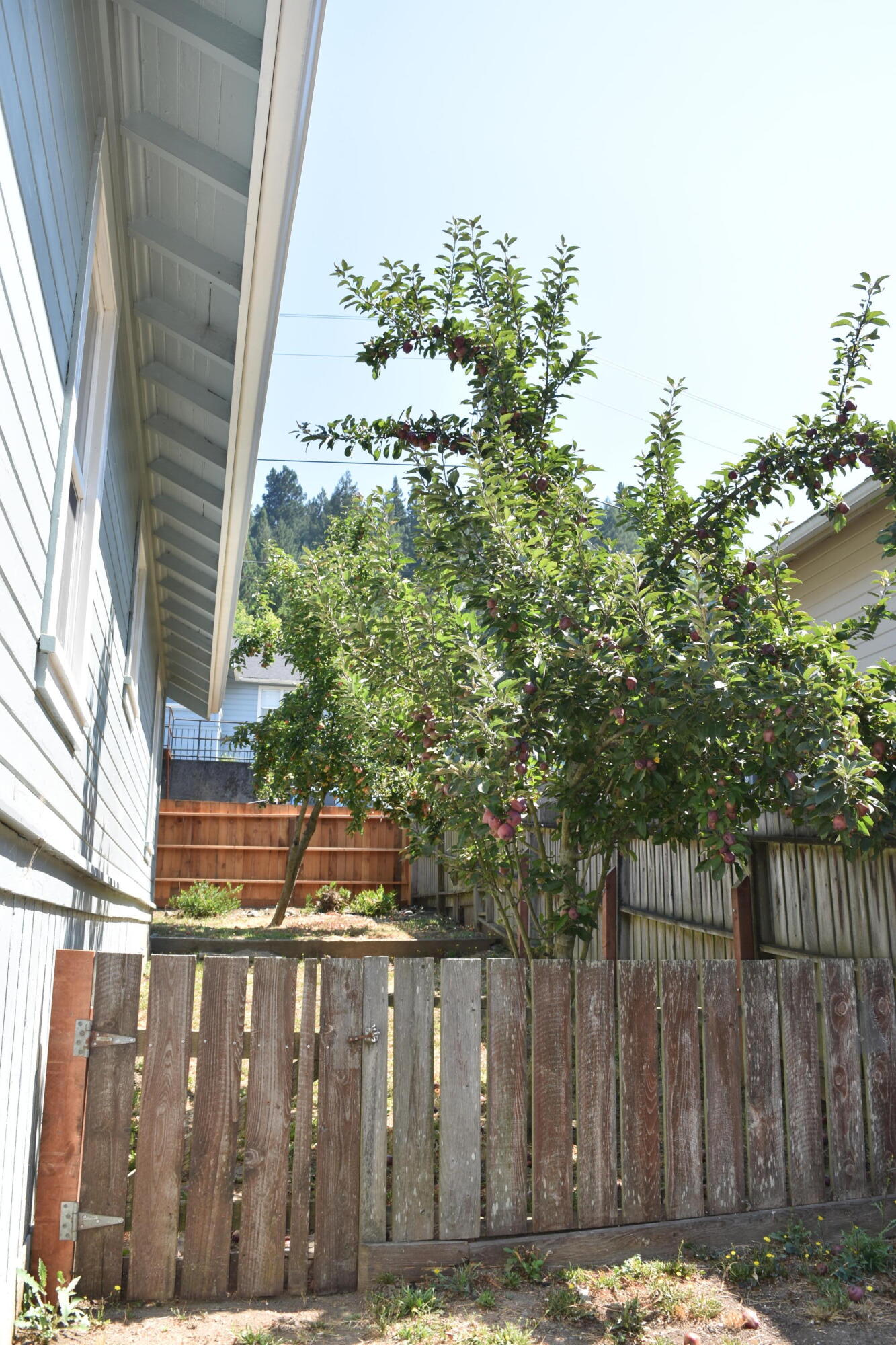 182 Main Street Scotia, CA 95565 - Photo 10 of 20