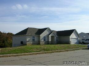 230 Willow Ridge Valmeyer, IL 62295 - Photo 1 of 1