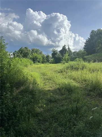 a view of a big yard with potted plants and big trees