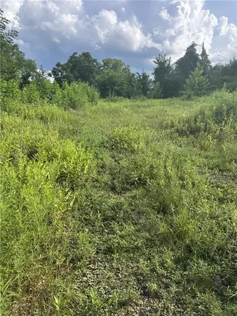 a view of a green field with lots of bushes
