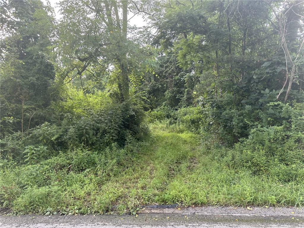 360 Old Abers Creek Road Pittsburgh, PA 15239 - Photo 3 of 5 a view of a forest with trees in the background