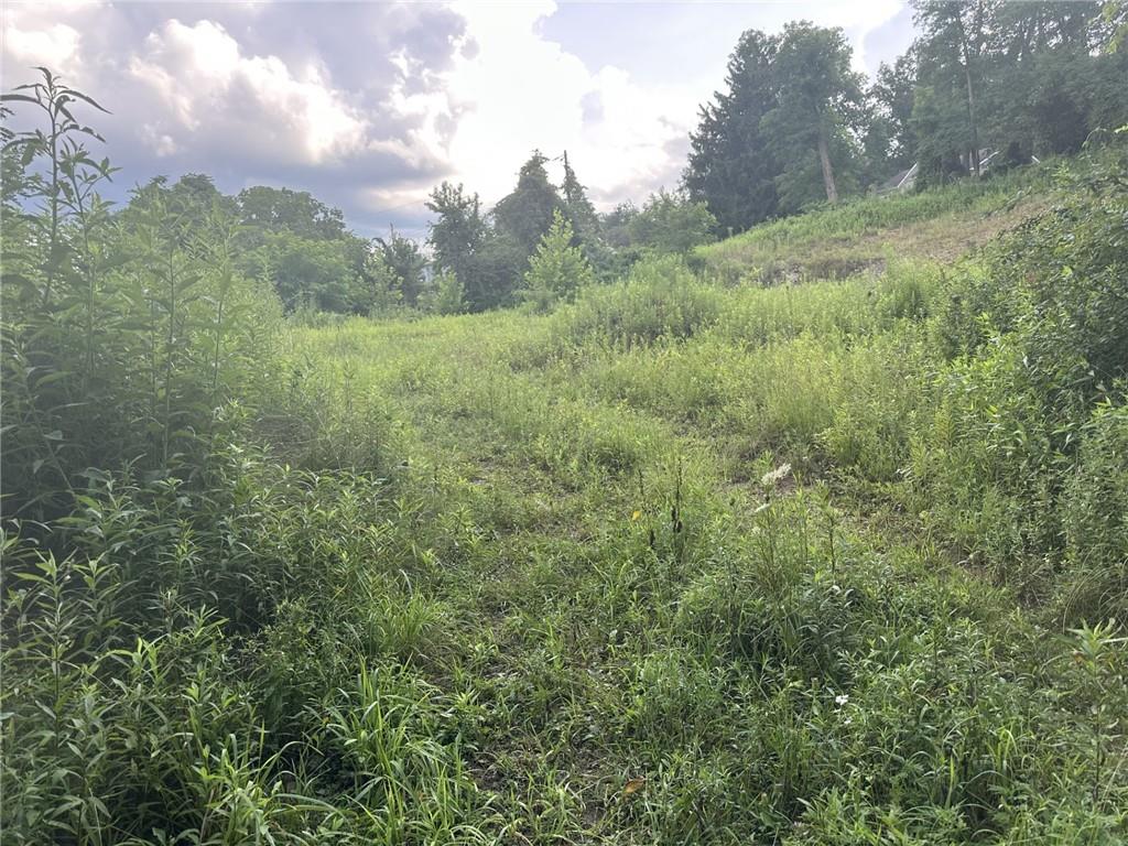 360 Old Abers Creek Road Pittsburgh, PA 15239 - Photo 5 of 5 a view of a field of grass and trees