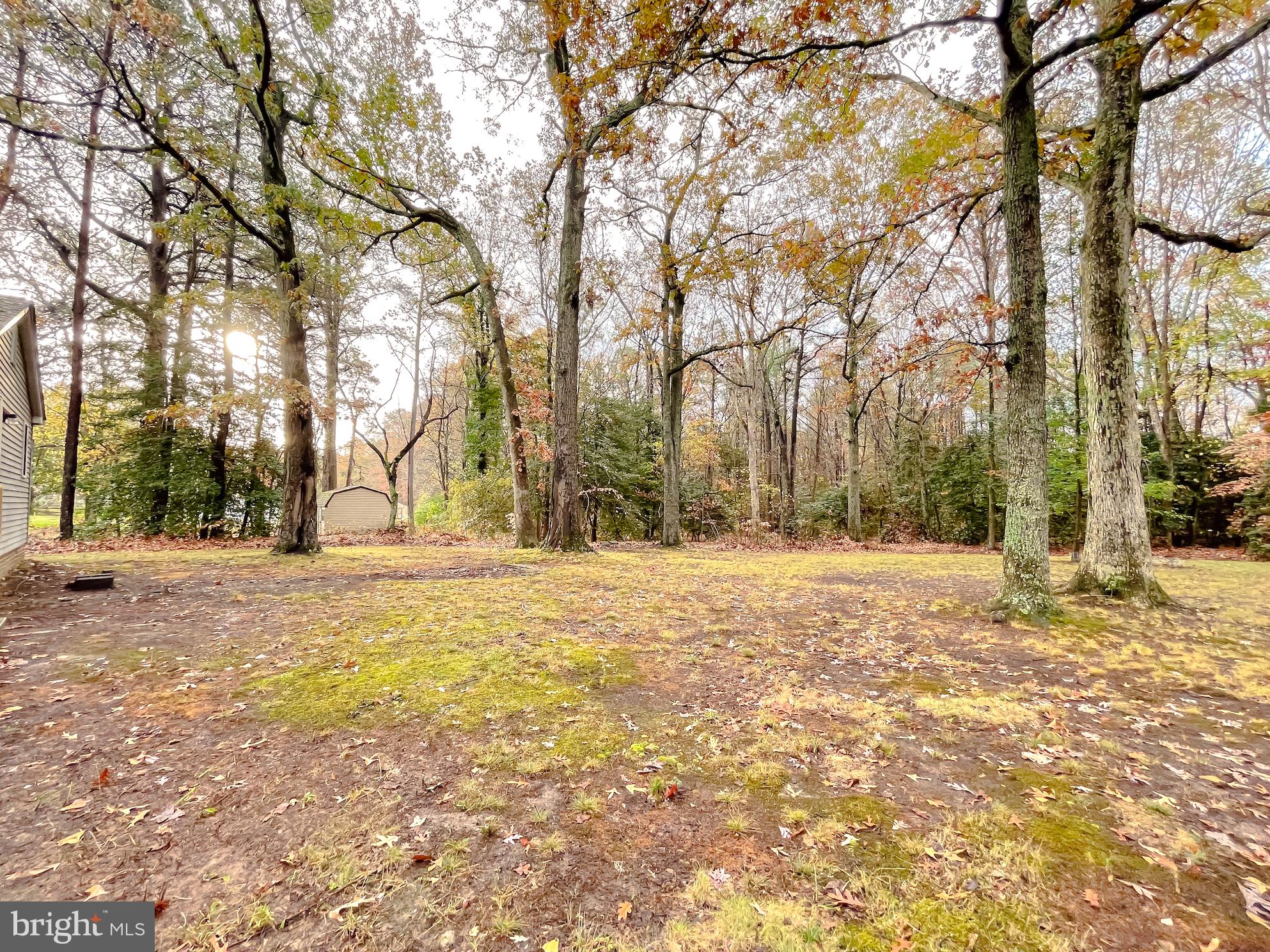 19425 Point Lookout Road Lexington Park, MD 20653 - Photo 8 of 49 Quiet and peaceful