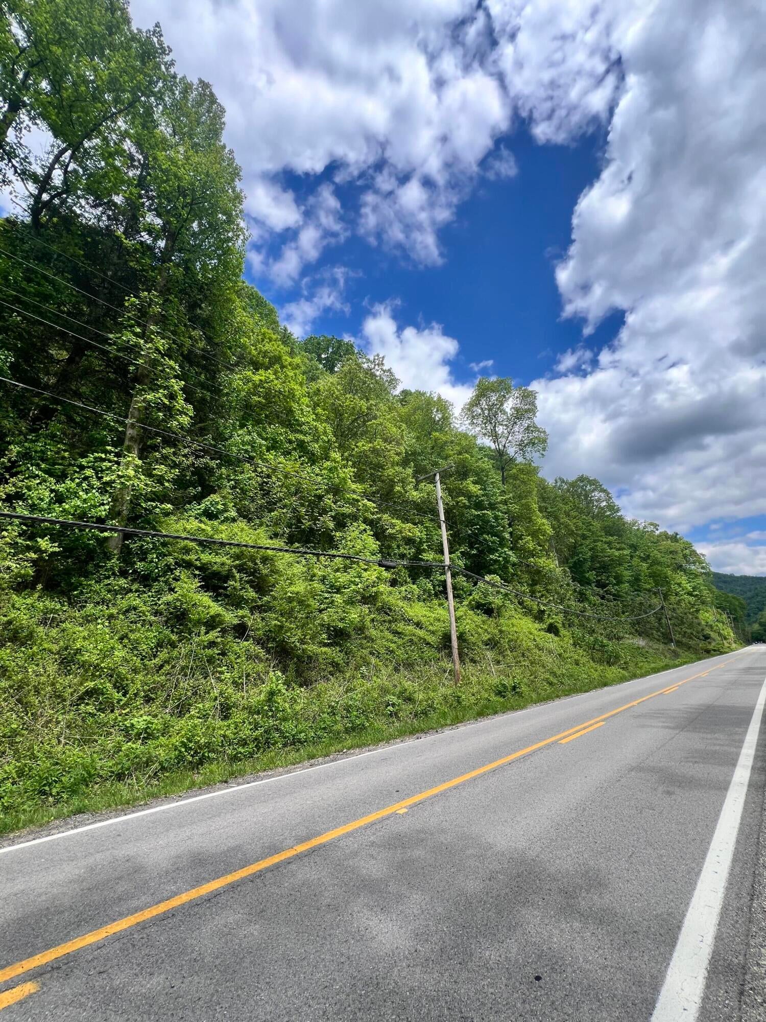 Gauley River Road Belva, WV 26656 - Photo 4 of 12 Gallery Image 4