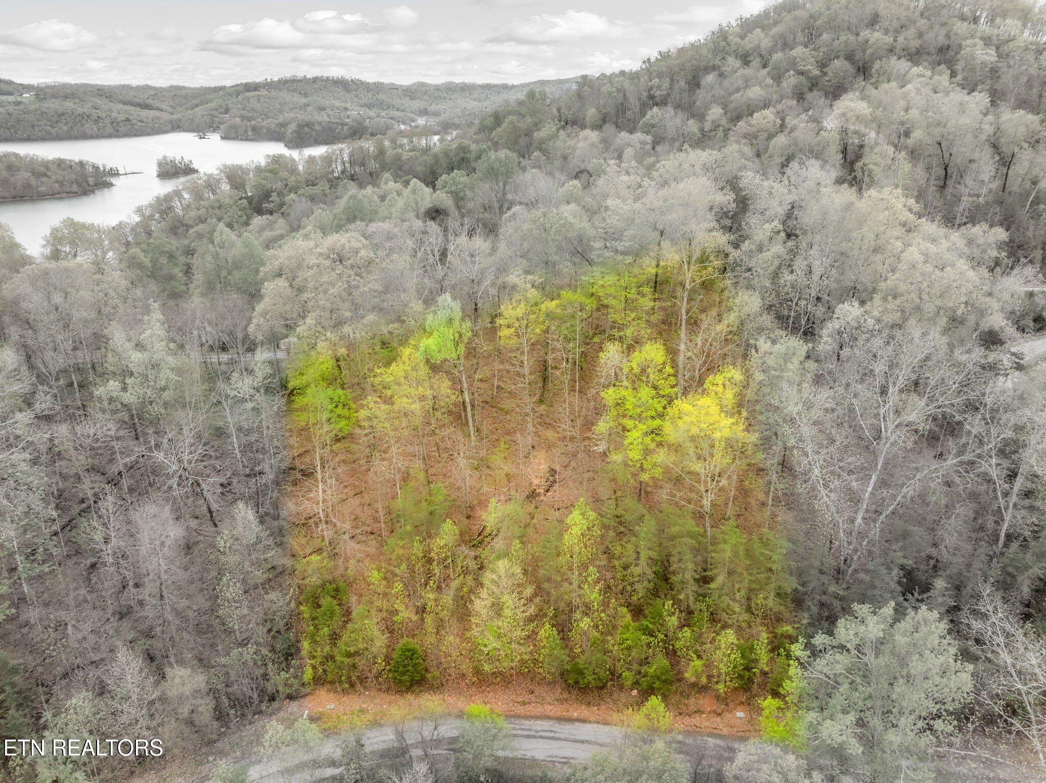 736 Russell Brothers Road Sharps Chapel, TN 37866 - Photo 5 of 12