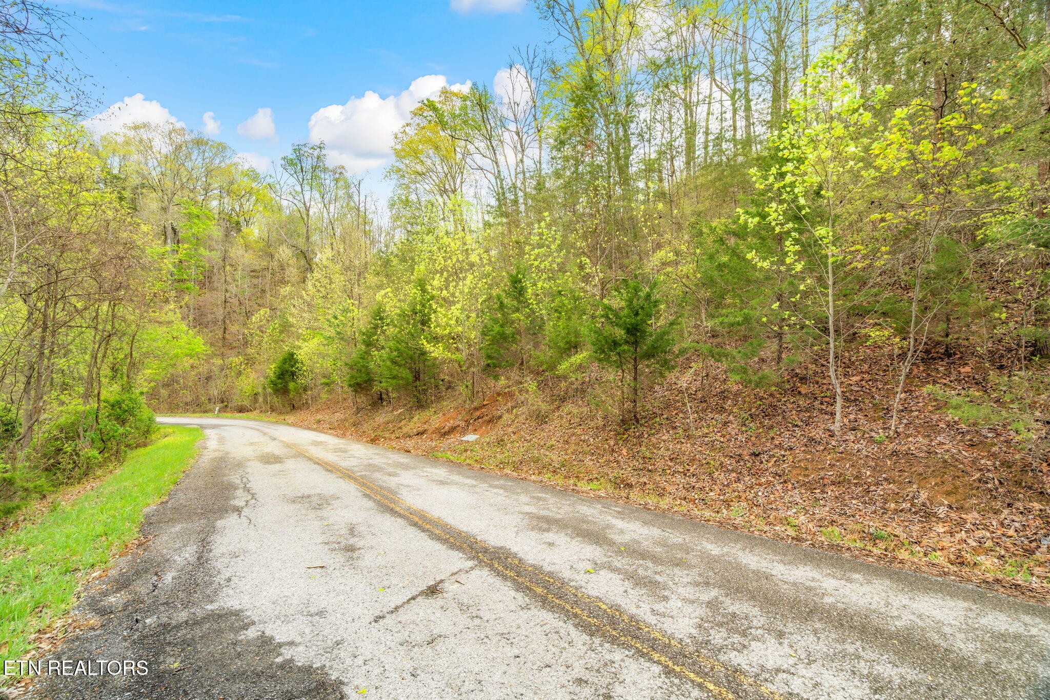 736 Russell Brothers Road Sharps Chapel, TN 37866 - Photo 6 of 12 a view of a backyard of the house