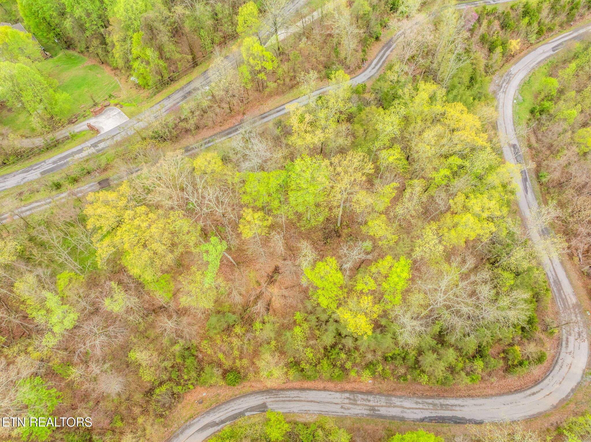 736 Russell Brothers Road Sharps Chapel, TN 37866 - Photo 8 of 12 a view of a yard