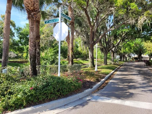 a view of a park with large trees