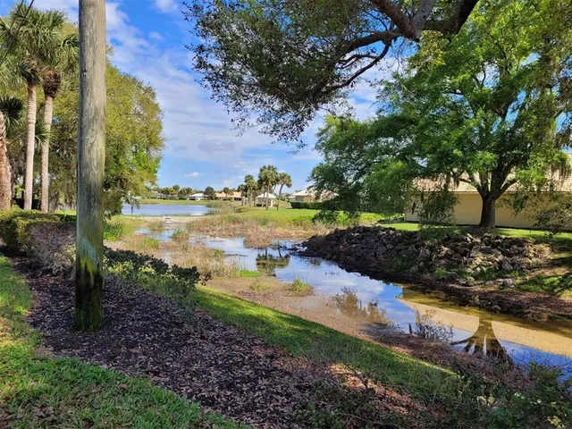 a view of a yard with plants and large trees