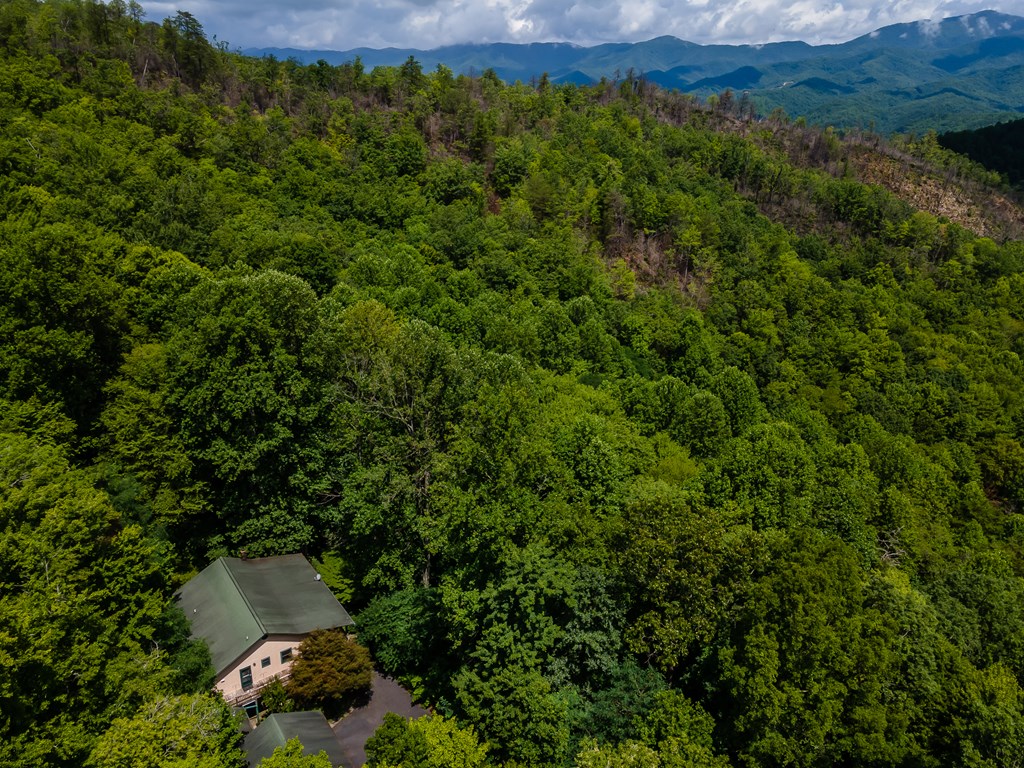 508 Bolden Branch Road Andrews, NC 28901 - Photo 45 of 51 Gallery Image 45