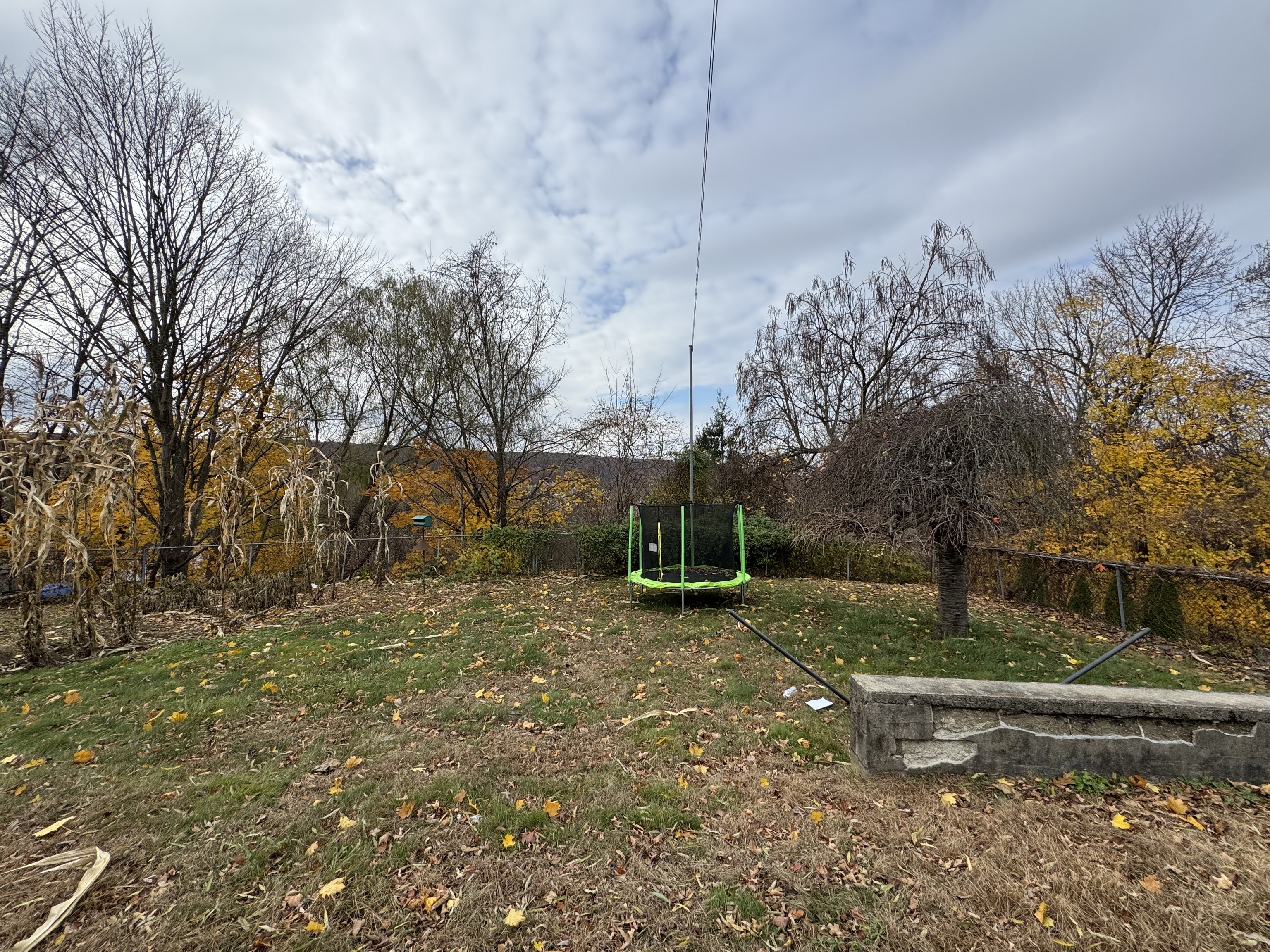 162 High Street Naugatuck, CT 06770 - Photo 24 of 25 a backyard of a house with lots of green space