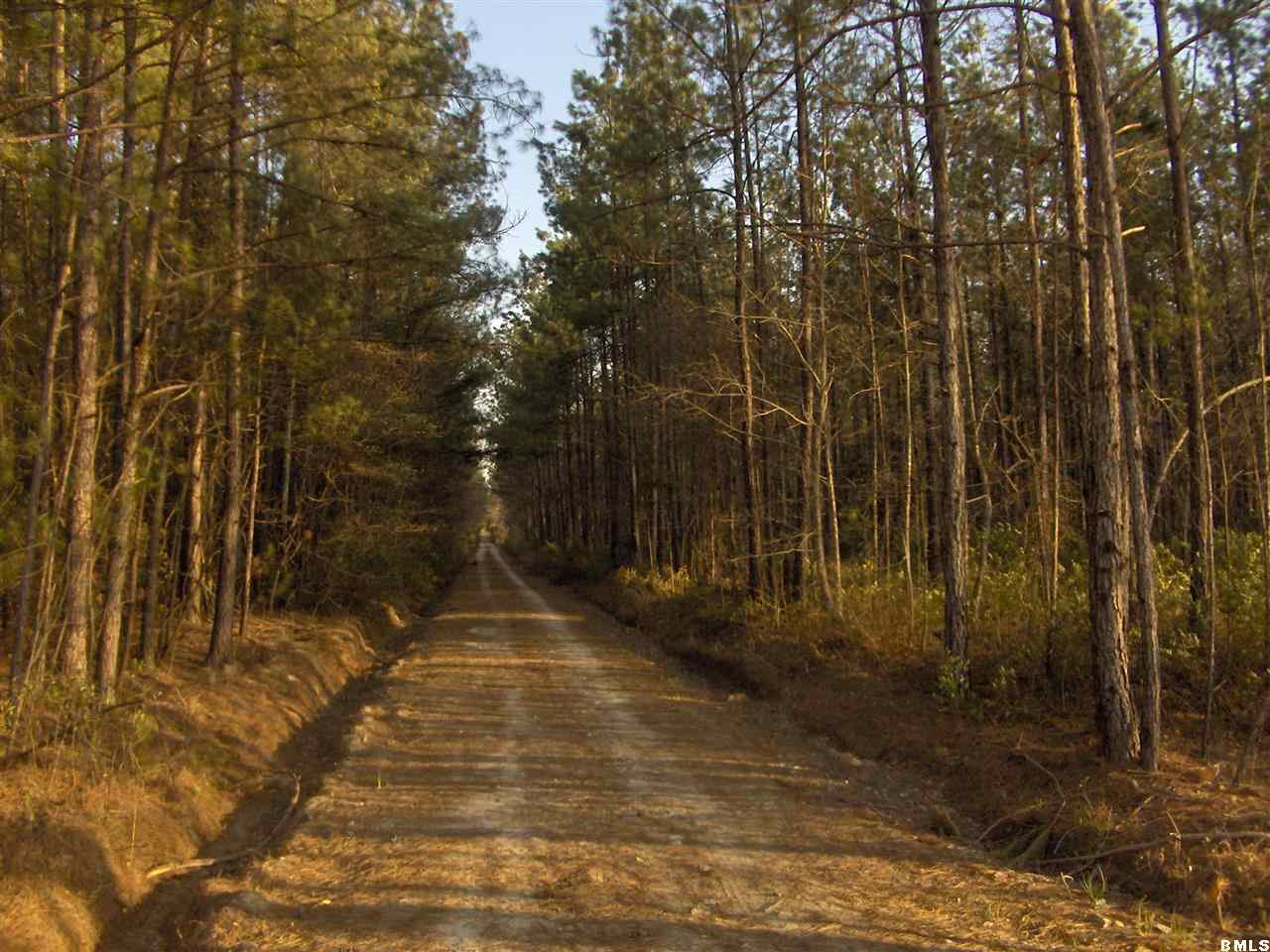 294 Crew's Cemetery Road Varnville, SC 29944 - Photo 5 of 5 Additional Photo
