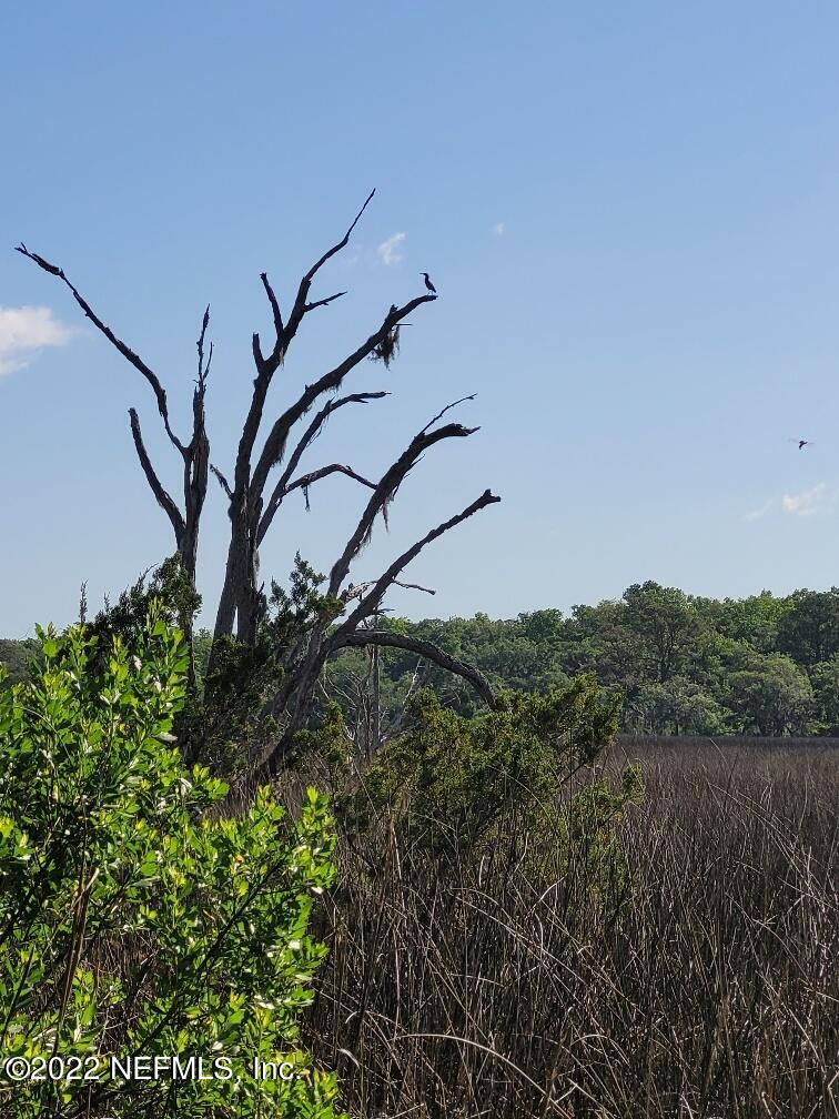 7328 Cedar Point Road Jacksonville, FL 32226 - Photo 28 of 31 20220507_094319_resized