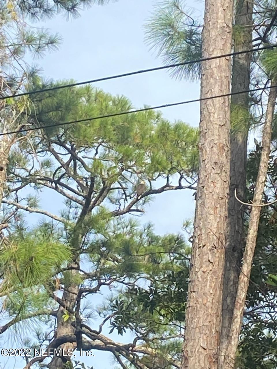 7328 Cedar Point Road Jacksonville, FL 32226 - Photo 3 of 31 IMG_0271 1