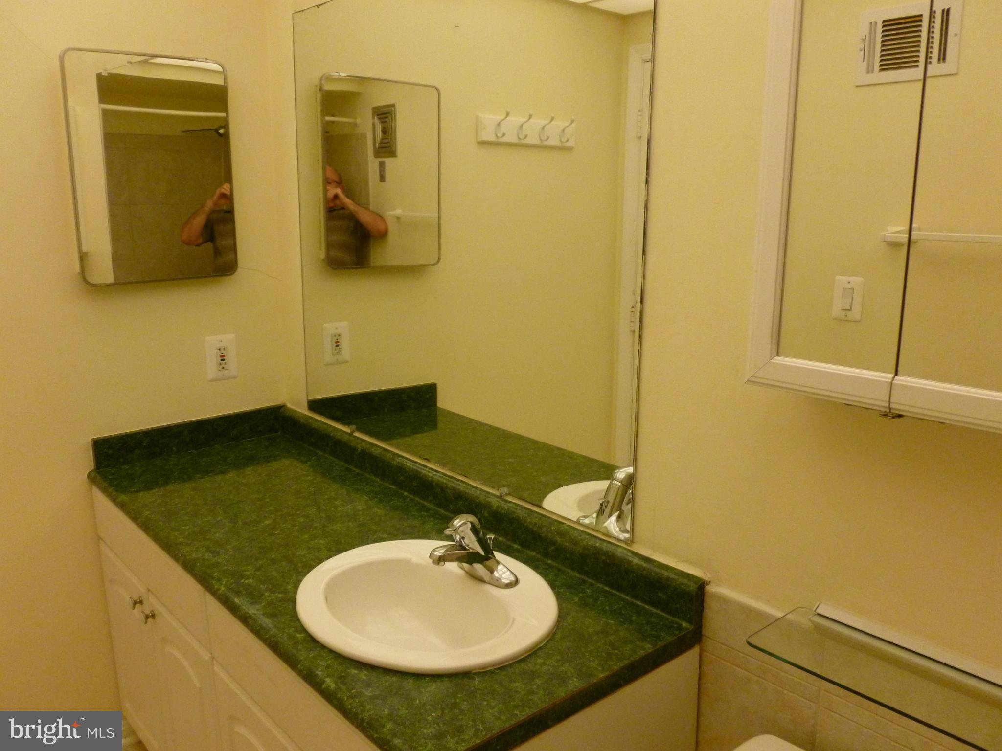 5913 E Prince James Drive, Unit 33 Springfield, VA 22152 - Photo 8 of 8 Bath