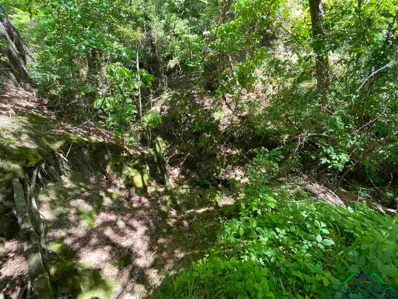 Tbd Orchid Road Ore City, TX 75683 - Photo 15 of 36 Gallery Image 15