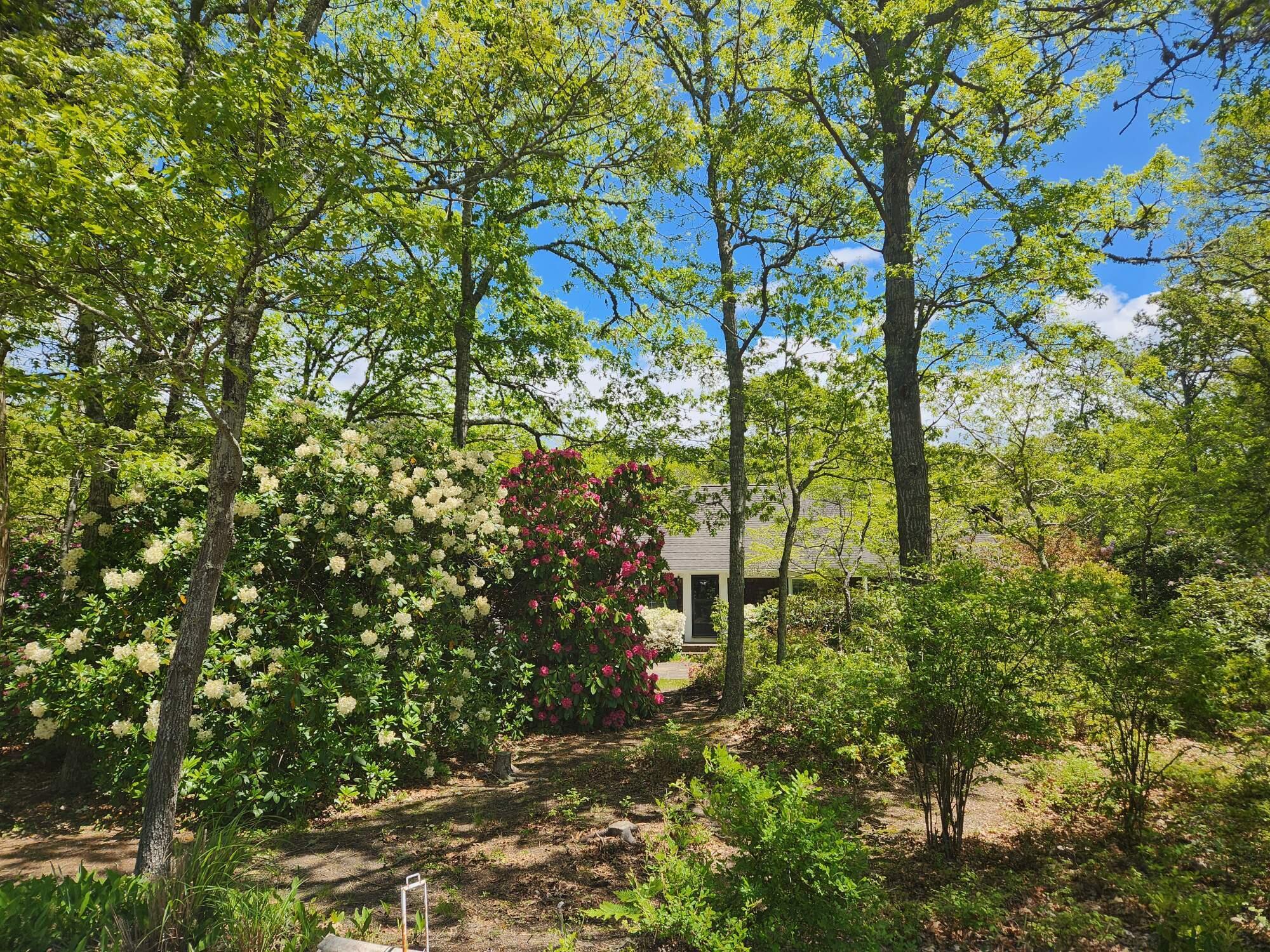 988 Crowells Bog Road Brewster, MA 02631 - Photo 59 of 92 Resized_20250526_124254