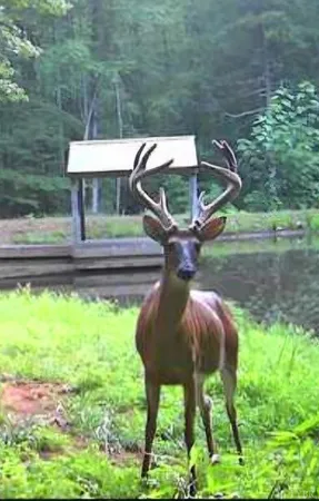 $179,900 | 2-lot Venturous Trail, Goode, VA 24556