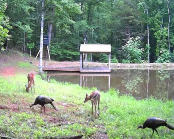 $179,900 | 2-lot Venturous Trail, Goode, VA 24556