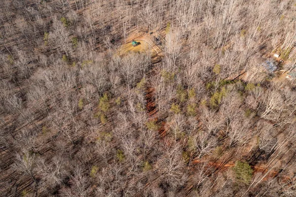 a view of an outdoor space with a tree