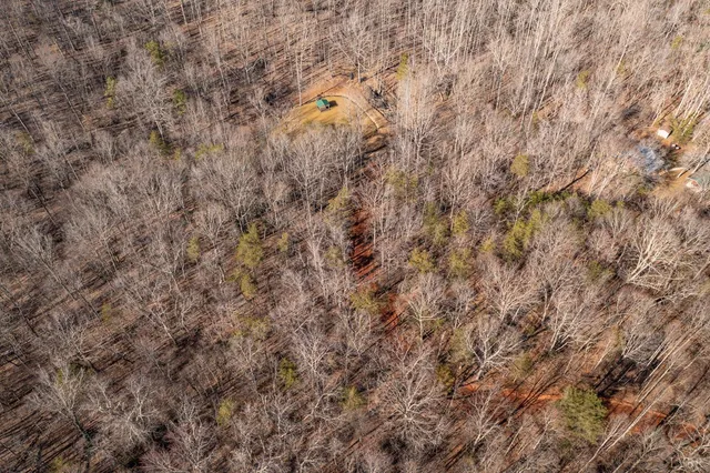 a view of an outdoor space with a tree