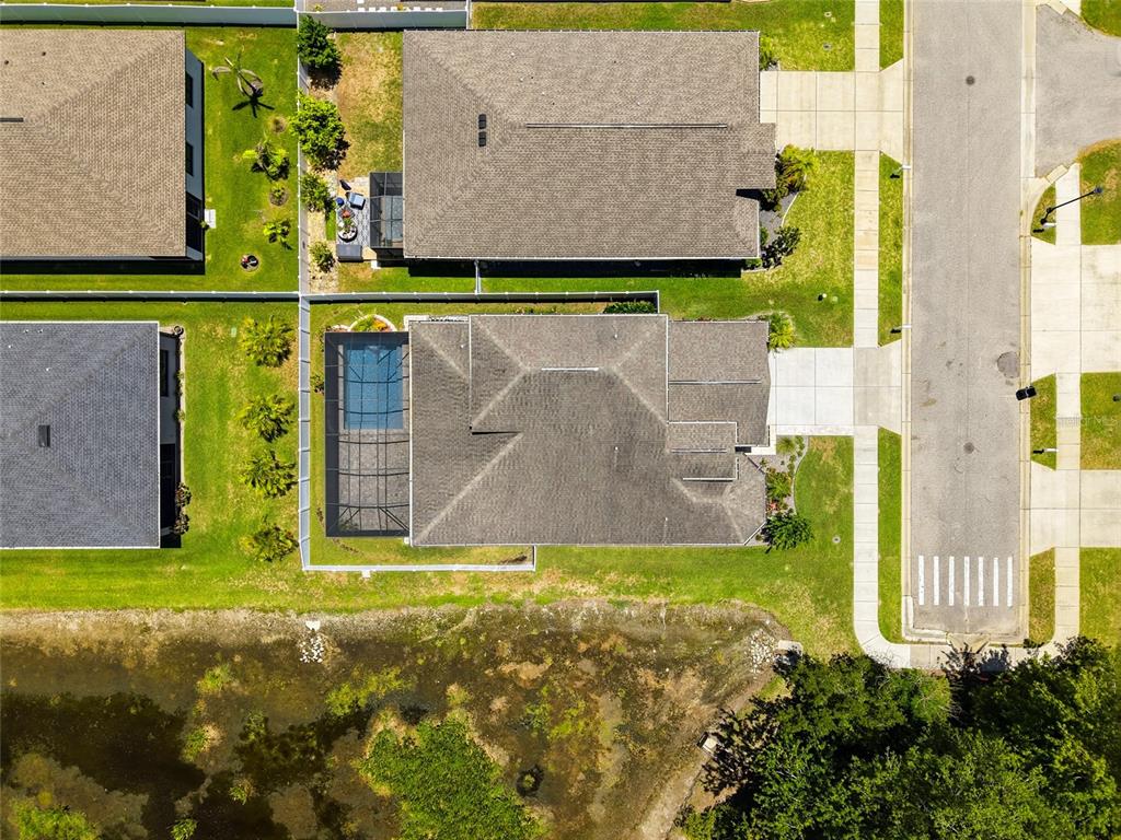 12307 Newt Court New Port Richey, FL 34654 - Photo 65 of 69