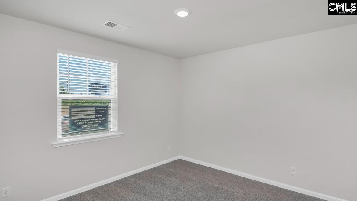 198 Ruby Prince Road Gilbert, SC 29054 - Photo 27 of 41