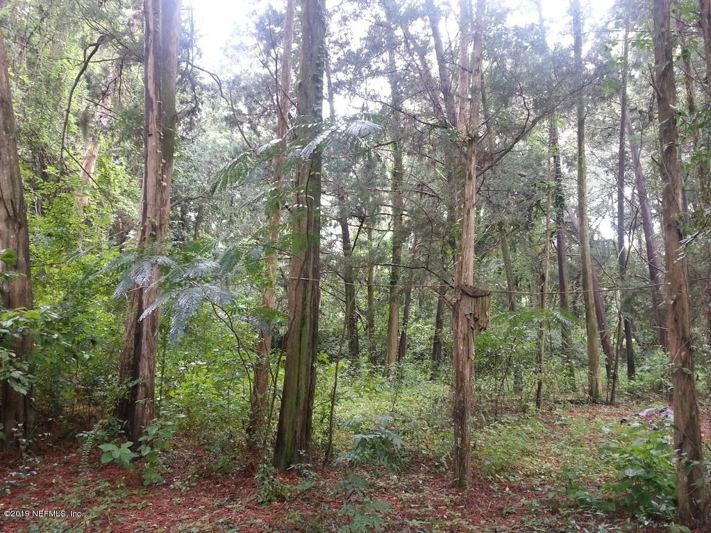5771 Gilchrist Road Jacksonville, FL 32219 - Photo 3 of 4 a view of forest