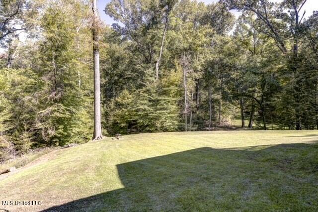 128 Robinhood Road Vicksburg, MS 39180 - Photo 12 of 66 thumbnail_Backyard 1